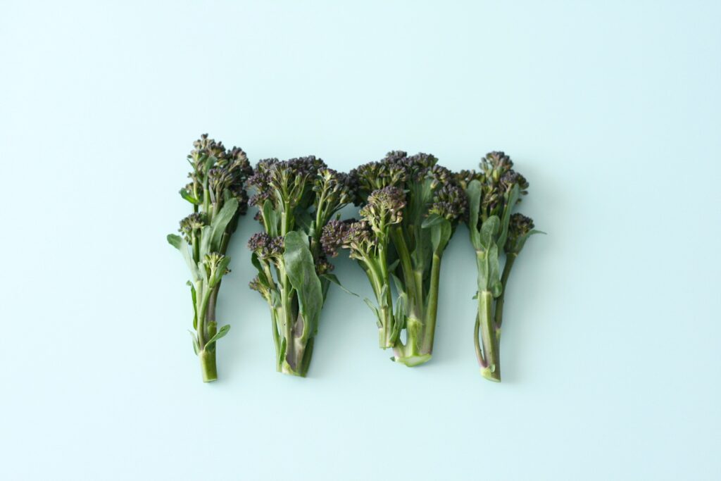 High protein broccoli