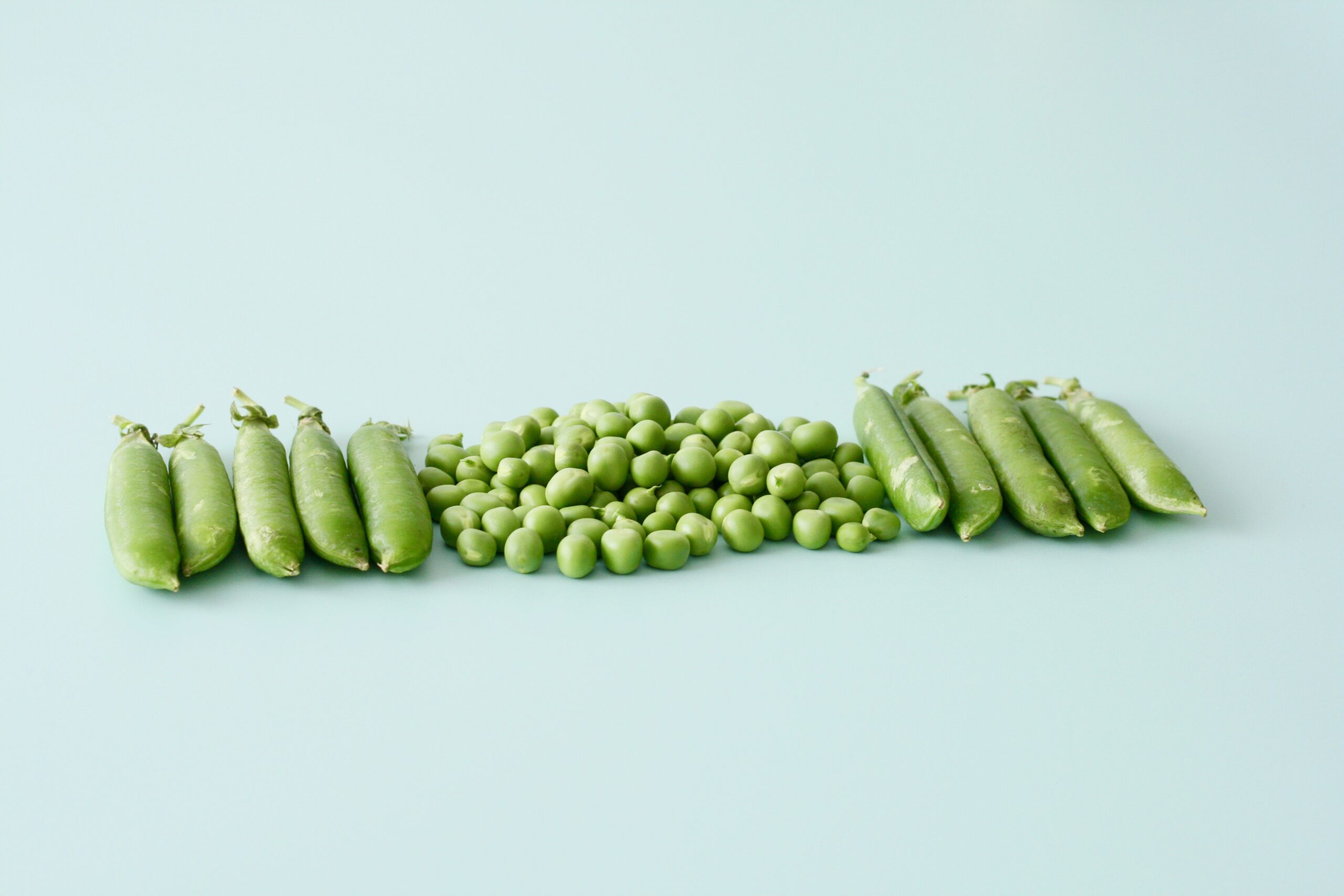 High protein peas