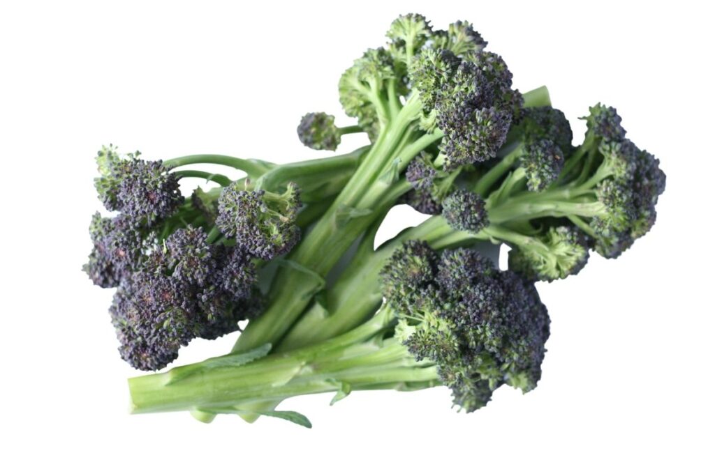 seasonal vegetable april Purple Sprouting Broccoli