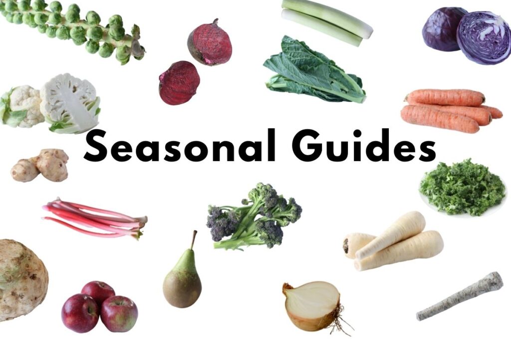 seasonal guides